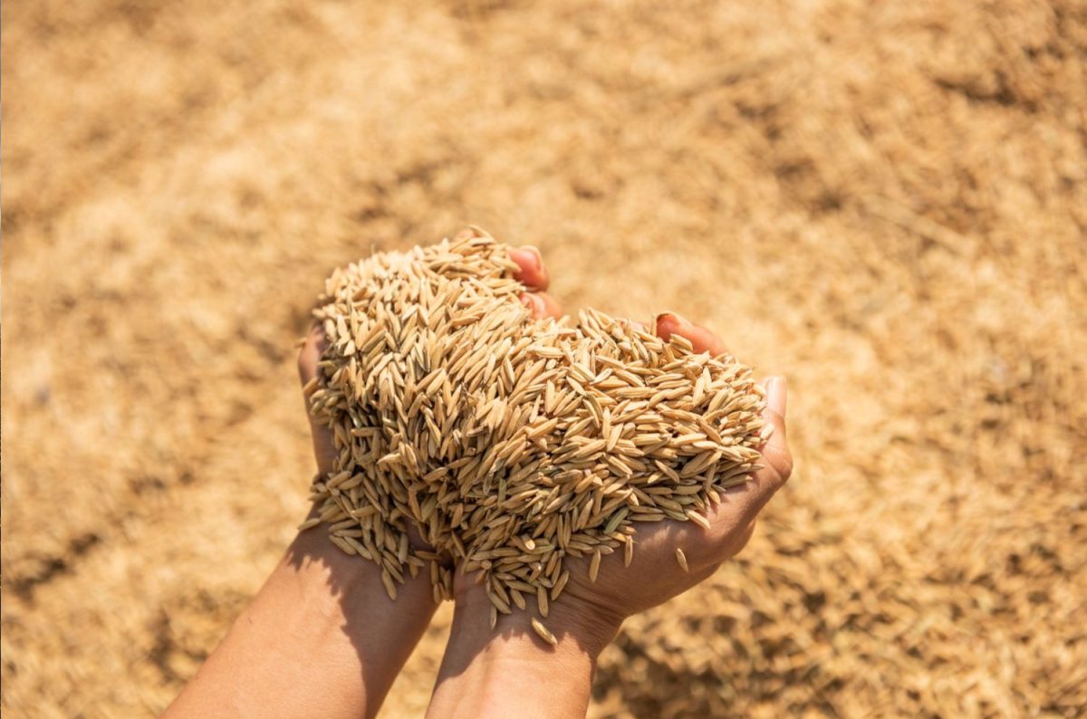 Building Strong Partnerships: Baamud Agro’s Direct Collaboration with Farmers in Ethiopia and Kenya