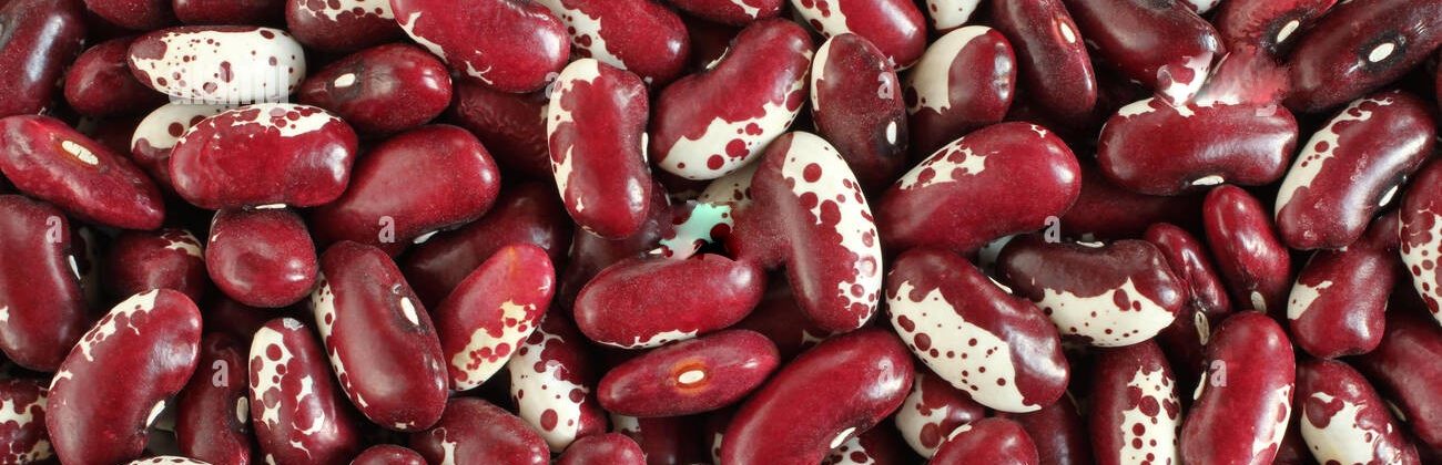 red white speckled bean