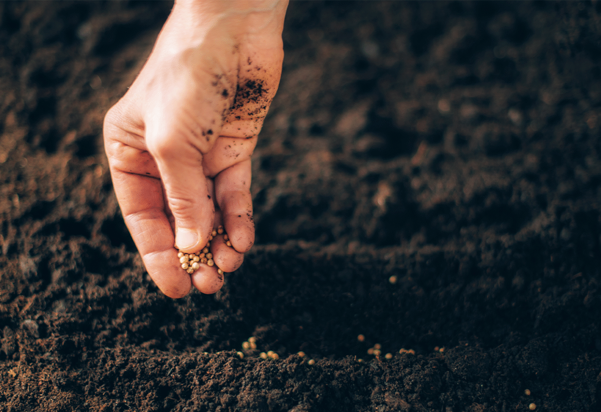 Sustainable Farming Revives Yields in Ethiopia as Regional Program Strengthens Food Security