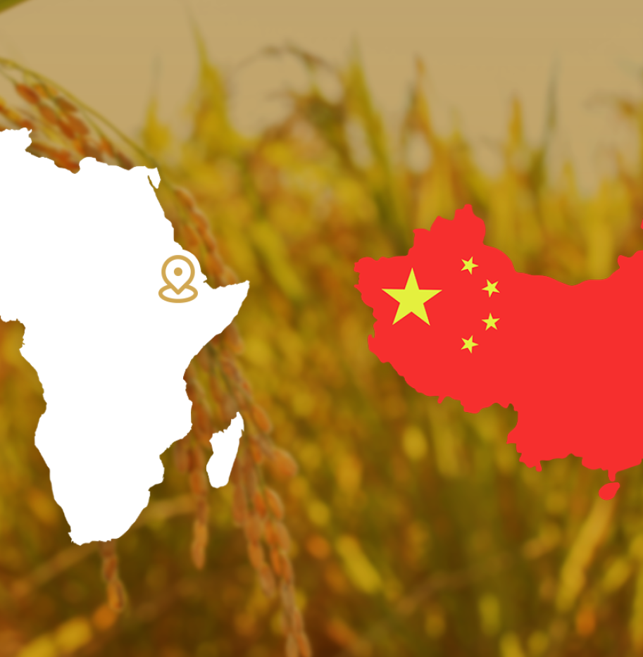 BAAMUD - China-Africa Alliance Drives Agricultural Transformation with Six New Innovation Projects BAAMUD - China-Africa Alliance Drives Agricultural Transformation with Six New Innovation Projects