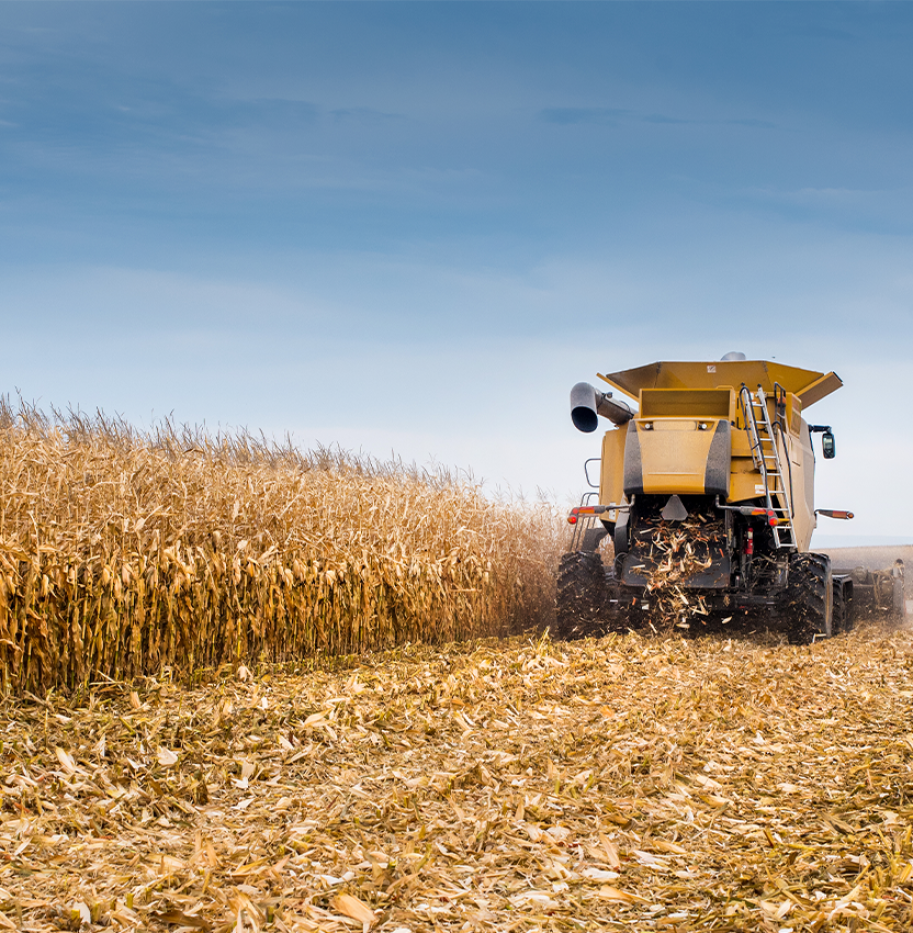 BAAMUD - Galana-Kulalu Revival Marks a New Era for Kenya’s Food Security and Agricultural Self-Sufficiency BAAMUD - Galana-Kulalu Revival Marks a New Era for Kenya’s Food Security and Agricultural Self-Sufficiency