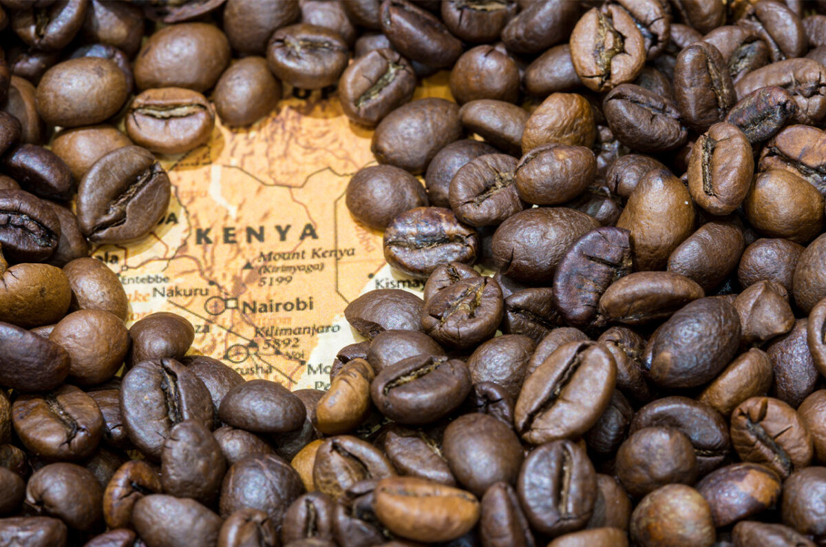 Kenya Coffee Earnings Surge as Premium Grades Drive Strong Auction Performance