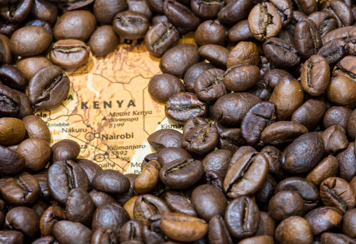 BAAMUD - Kenya Coffee Earnings Surge as Premium Grades Drive Strong Auction Performance