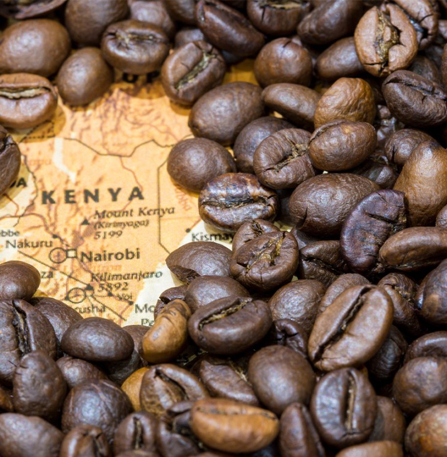 BAAMUD - Kenya Coffee Earnings Surge as Premium Grades Drive Strong Auction Performance