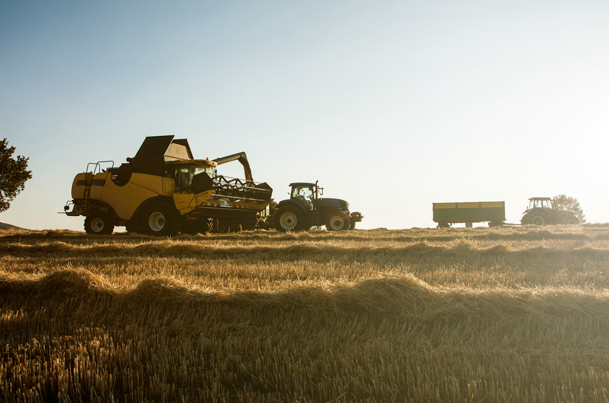 Ethiopia Accelerates Farm Mechanization and Urban Agriculture to Boost Food Sovereignty