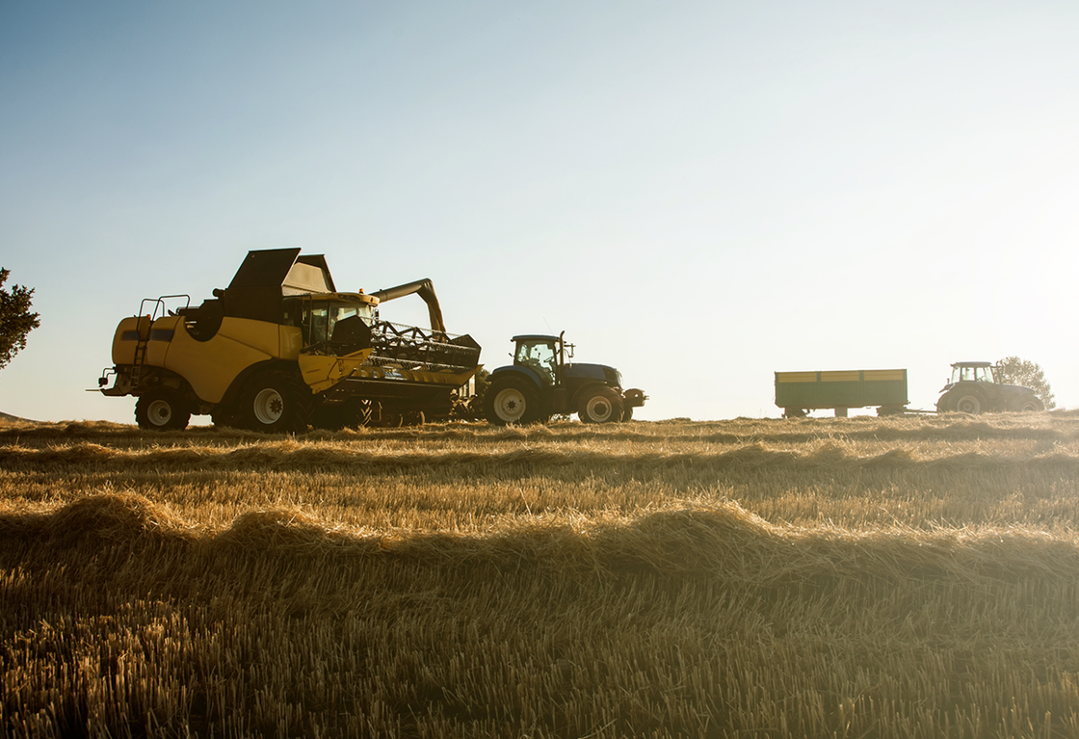 BAAMUD - Ethiopia Accelerates Farm Mechanization and Urban Agriculture to Boost Food Sovereignty