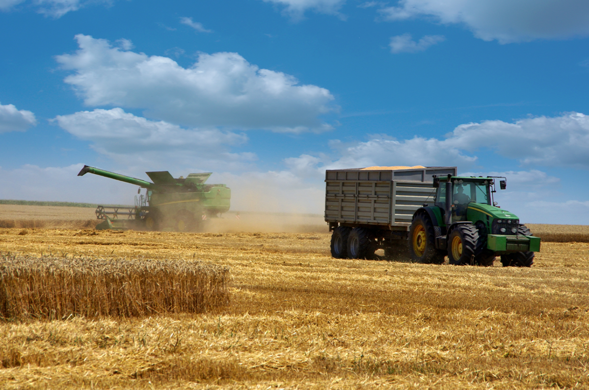 Ethiopia’s Wheat Export Milestone Signals Digital-Driven Agricultural Transformation