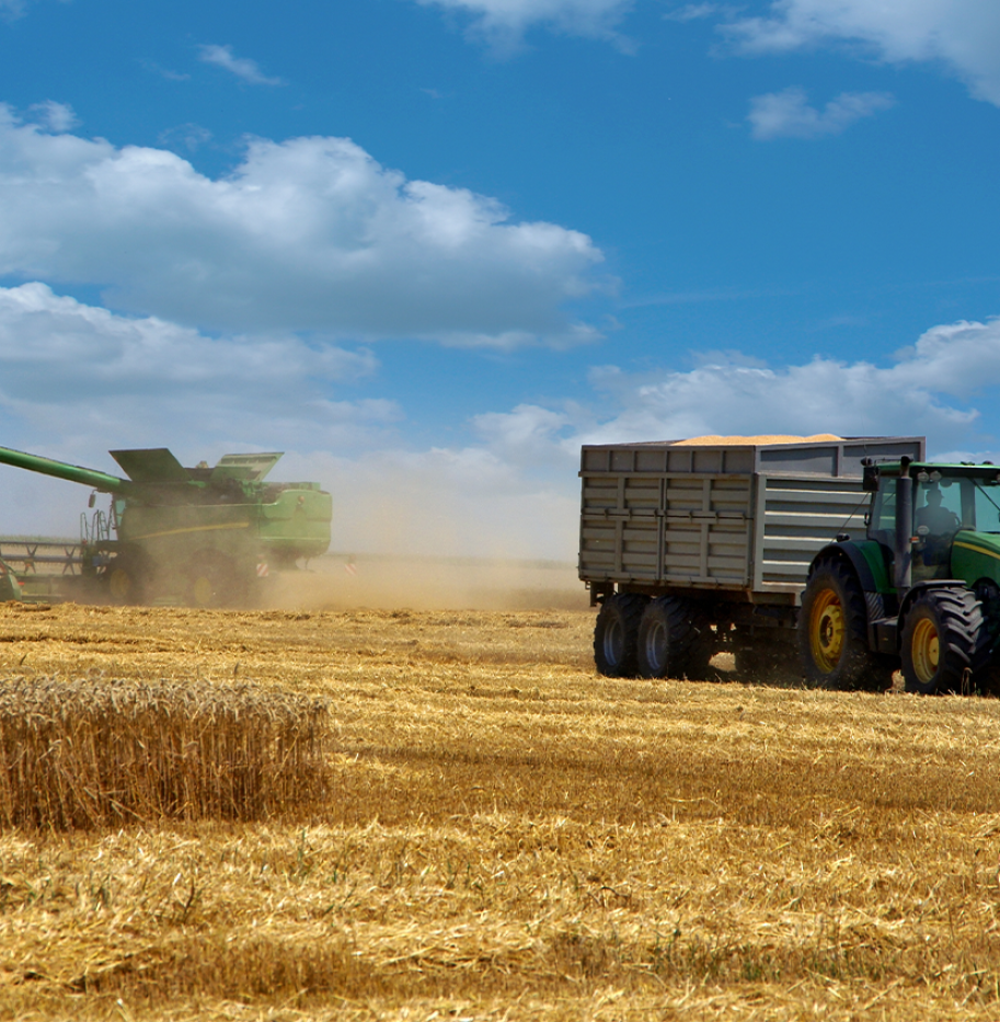 BAAMUD - Ethiopia’s Wheat Export Milestone Signals Digital-Driven Agricultural Transformation BAAMUD - Ethiopia’s Wheat Export Milestone Signals Digital-Driven Agricultural Transformation