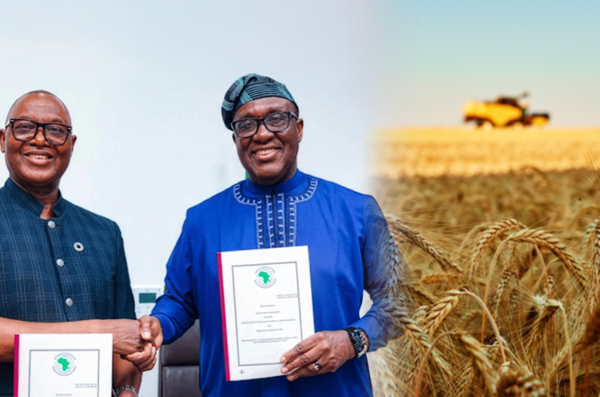 TAAT-III to Strengthen Climate-Resilient Farming in Ethiopia