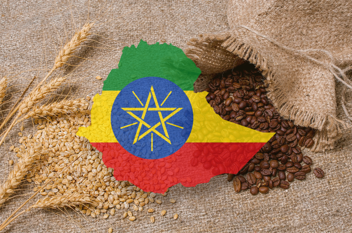 Ethiopia Emerges as Africa’s Top Producer of Wheat and Coffee