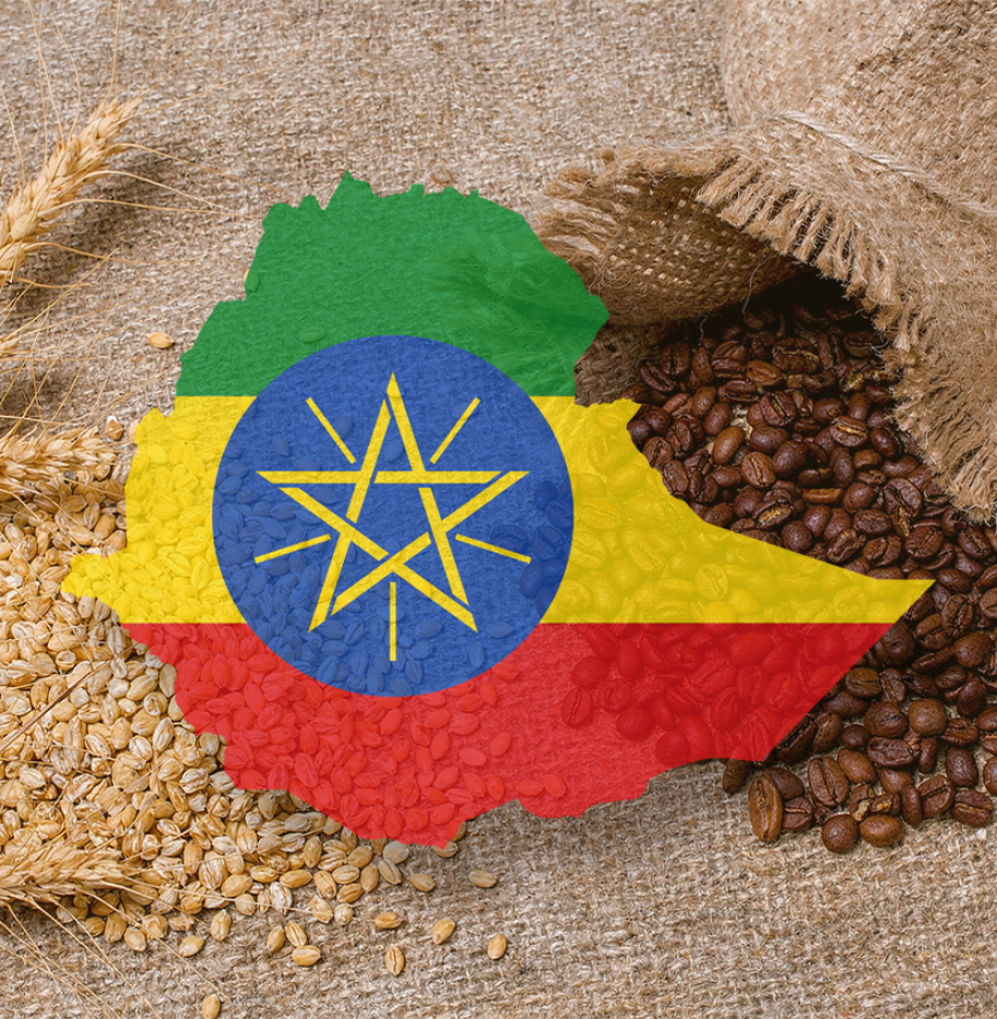 BAAMUD - Ethiopia Emerges as Africa’s Top Producer of Wheat and Coffee