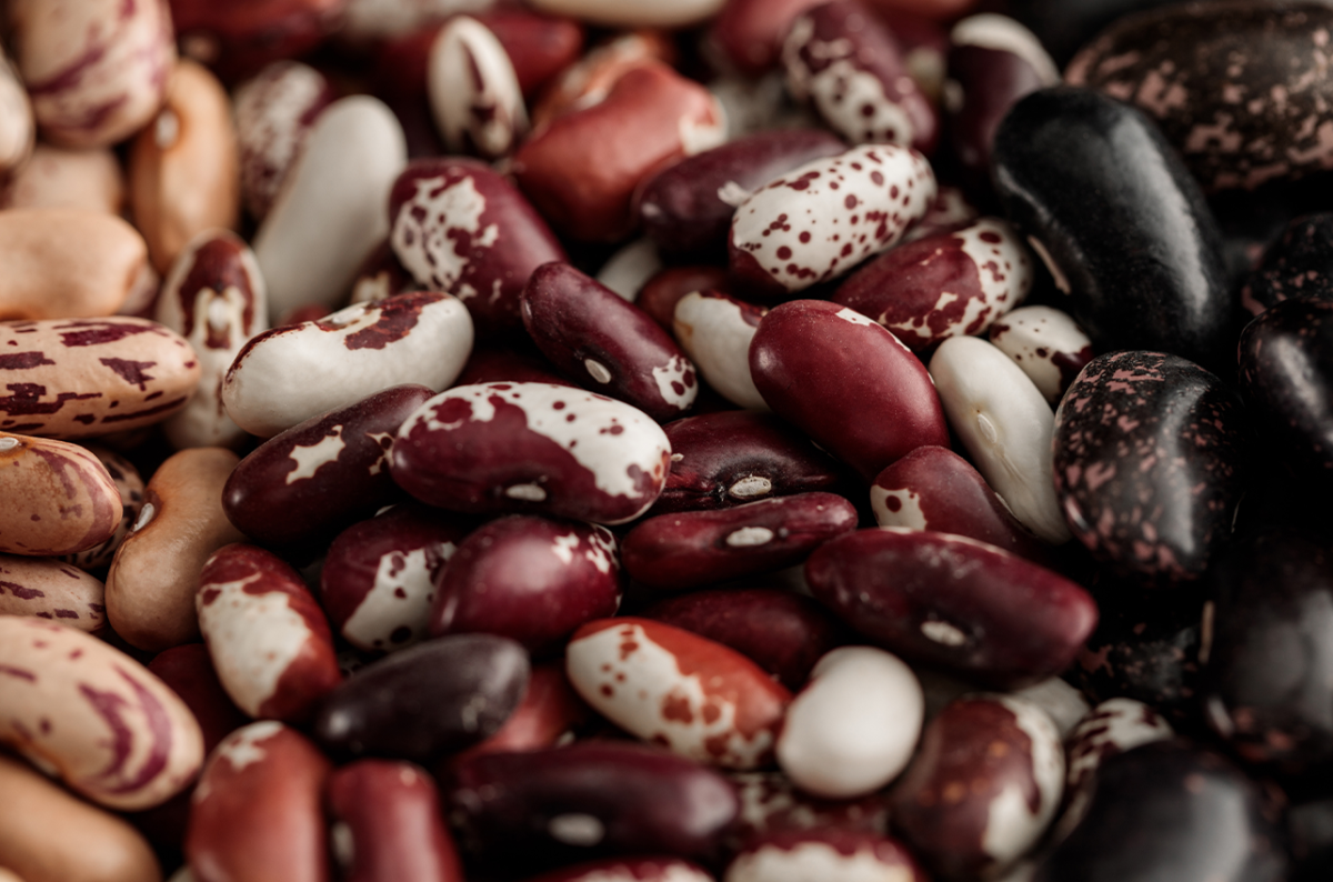 Rapid-Cooking Bean Innovation Advances in Ethiopia and Across Africa