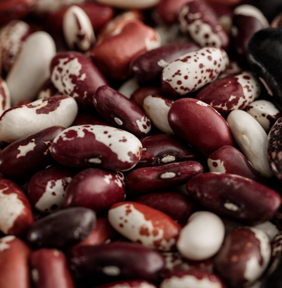 BAAMUD - Rapid-Cooking Bean Innovation Advances in Ethiopia and Across Africa BAAMUD - Rapid-Cooking Bean Innovation Advances in Ethiopia and Across Africa