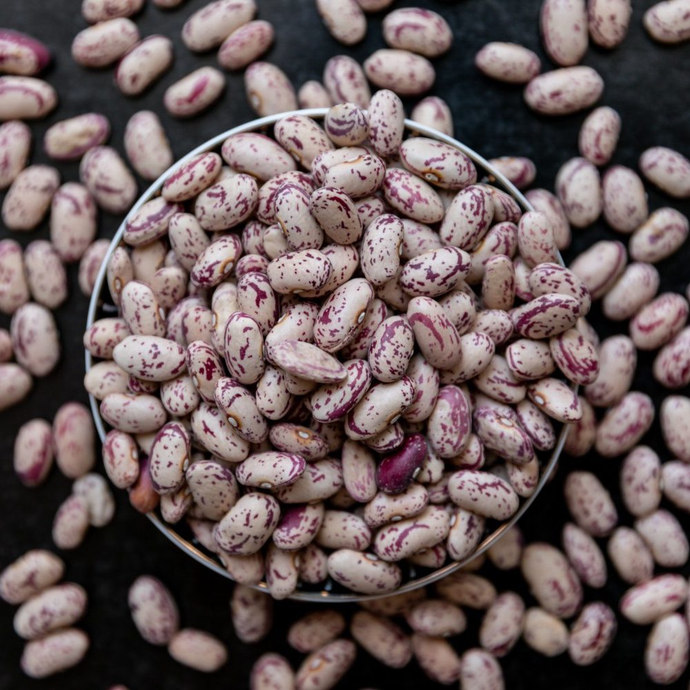 Pinto beans